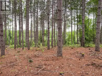 This 30-acre property is an ideal canvas for a custom home and with a permit for a culvert already i...