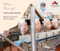 Chicken Plant Worker (LMIA & Agri-Food Pilot Available)