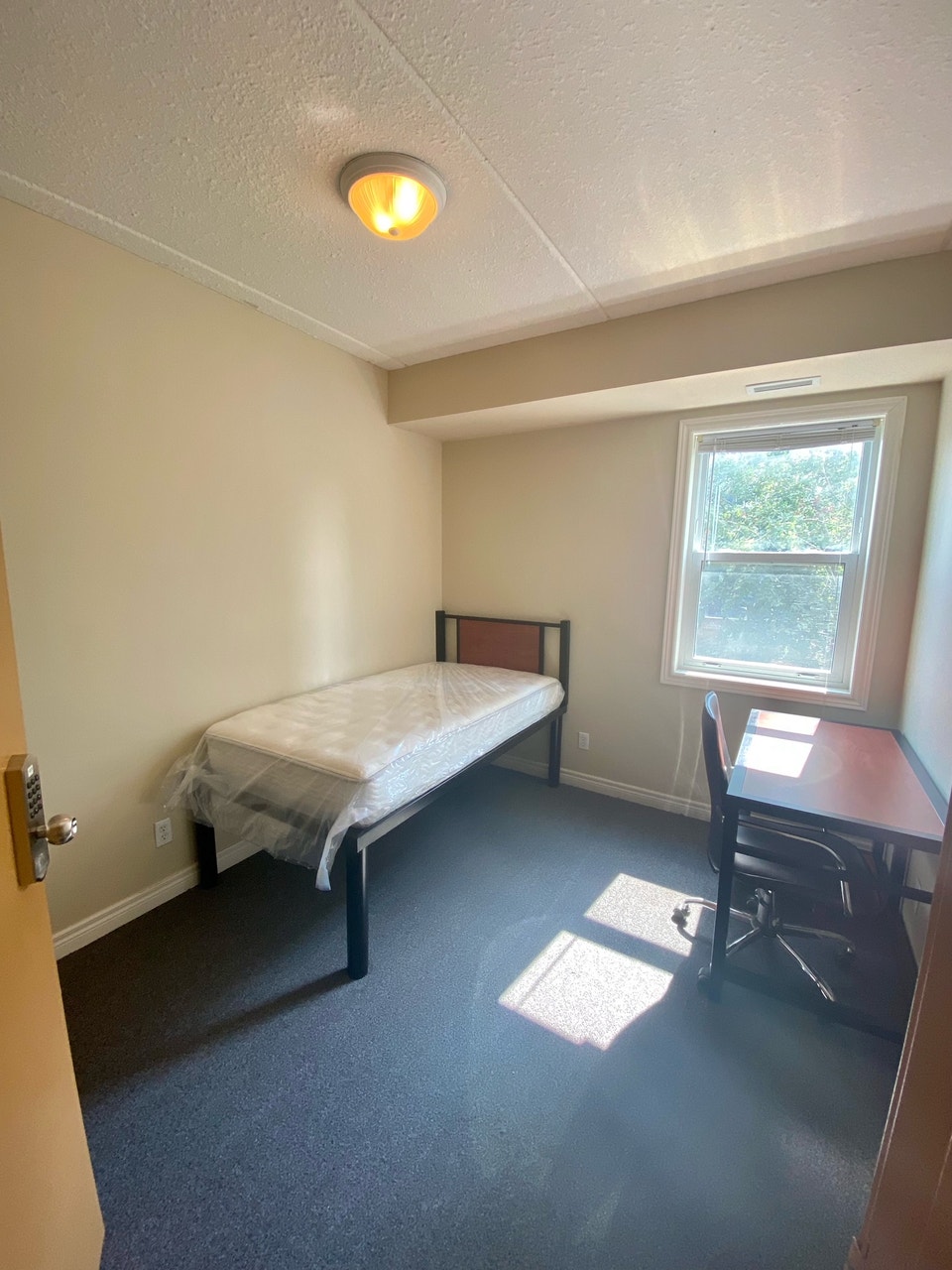 Bright & Furnished Student Bedroom Steps from Laurier/UW! (Room 2