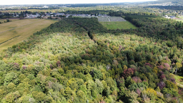 St-Christophe-d’Arthabaska : Terre à bois de 27.57 acres dans Terrains à vendre  à Victoriaville