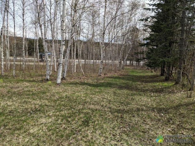 $45,000 - Residential Lot for sale in St-Joachim — photo 2