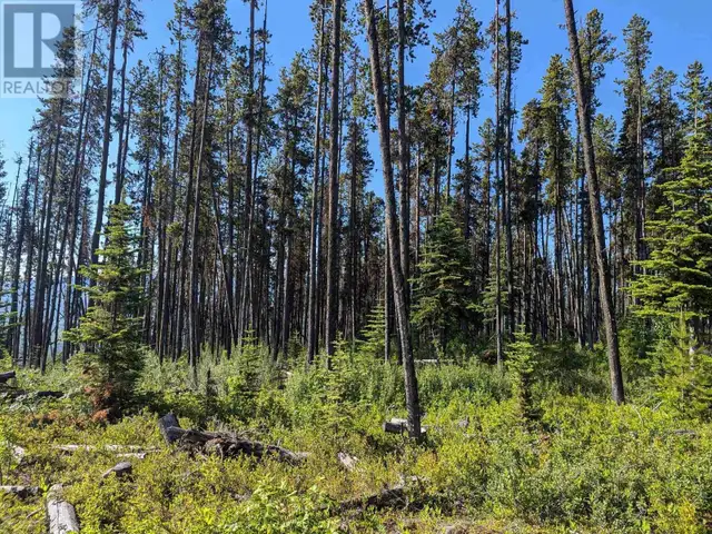 LOT A HUDSON BAY MOUNTAIN ROAD Smithers, British Columbia in Land for Sale in Smithers - Image 12