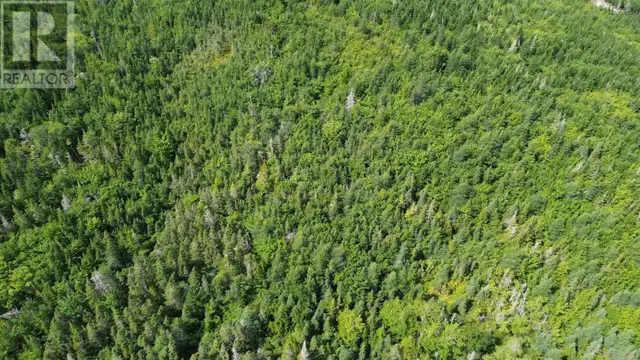 211 Highway Isaacs Harbour North, Nova Scotia in Land for Sale in New Glasgow - Image 13