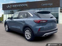 PREVIOUS DAILY RENTAL The *2024 Ford Escape Active* is the versatile daily driver designed for the m... (image 2)