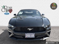 Rose City Ford | Accident Free | Convertible | 10-Speed Transmission | Engine Block Heated | Back Up... (image 8)