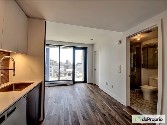 $530,000 - Condominium in Ville-Marie (downtown, old Mtl) — photo 3