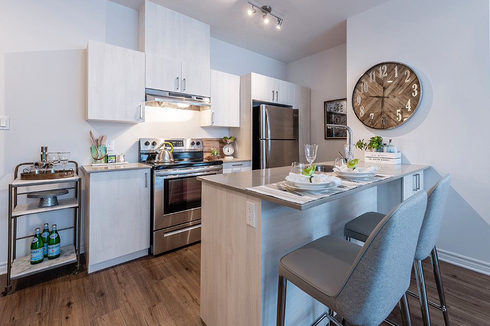 4-1/2 (2 Chambres / 2 bed) Appartement à louer à Pointe-Claire dans Locations longue durée  à Ouest de l’Île
