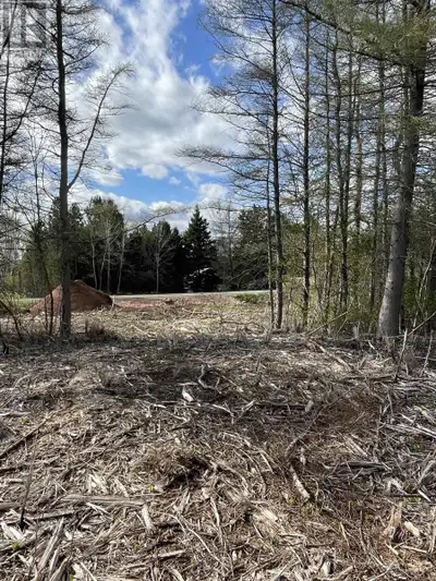 Build Your Dream Home in Beautiful Amherst, Nova Scotia 1 Acre Lot with Approved Septic Plan! Nestle...