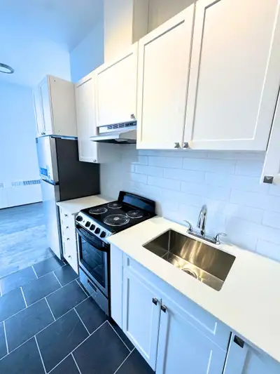 Renovated 2.5 available NOW - ACADIE METRO - Parc-Ex