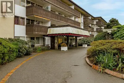 Excellent location directly across from Beacon Hill Park on beautiful sought after tree lined street...