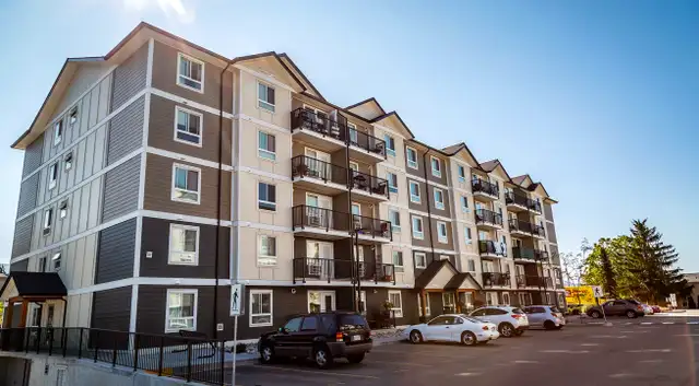 Pet-Friendly One Bedroom One Bath with In-suite Laundry for Rent in Long Term Rentals in Penticton - Image 3