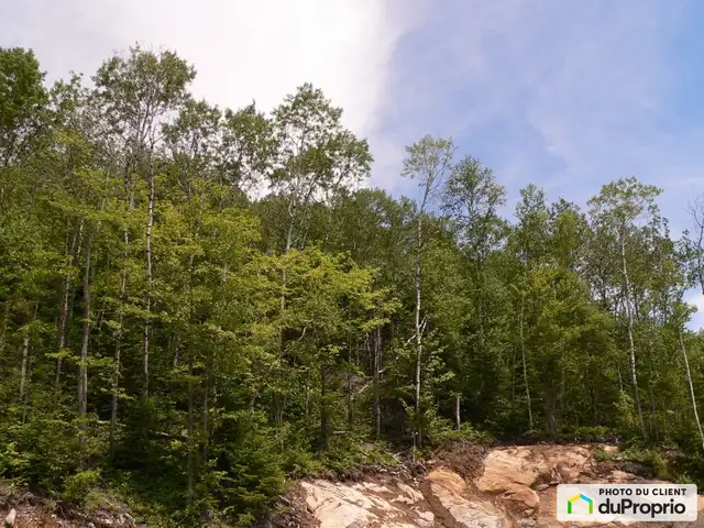 $275,000 - Residential Lot in Petite-Riviere-St-Francois in Land for Sale in Val-d'Or - Image 6