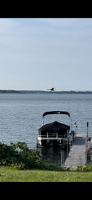 Élévateur pour ponton, View more
