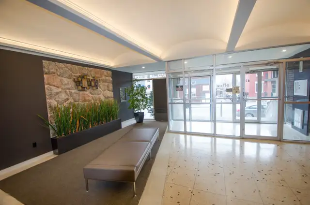 One Bedroom - Bronson and Carling63782629436801124