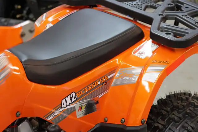 2022 Gio Blazer 125HS Premium Gas Quad/ATV in ATVs in Edmonton - Image 22