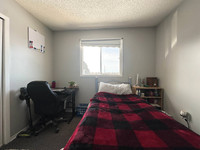 Spacious Female Student Bedrooms for Rent – Available May 15th! Located in a quiet, beautiful neighb... (image 7)