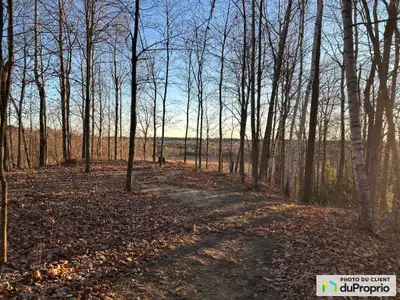 Terrain sur le bord de la rue relier à une terre à bois avec service eau, égout, électricité. Situé...