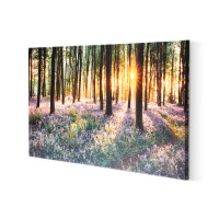 Forest Canvas Wall Art