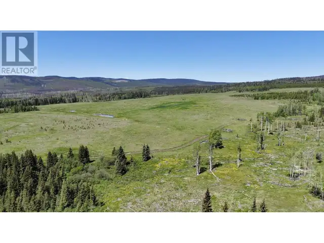 COLLEYMOUNT ROAD Burns Lake, British Columbia in Land for Sale in Burns Lake - Image 11