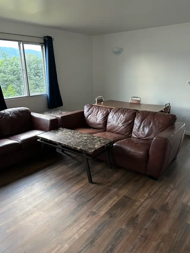 Pet-Friendly Apartment, En-Suite Laundry, Furnished Available.
