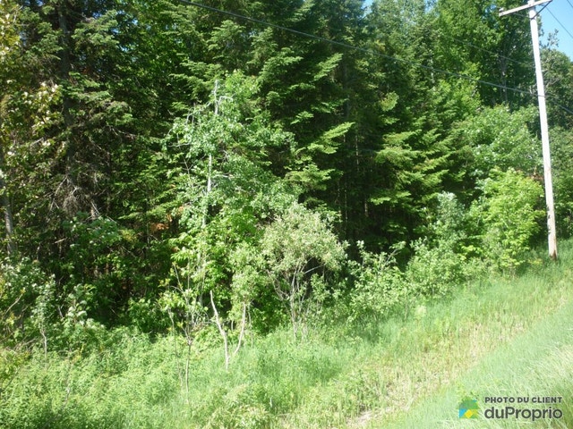 $36,000 - Price taxes not included - Residential Lot for sale — photo 2