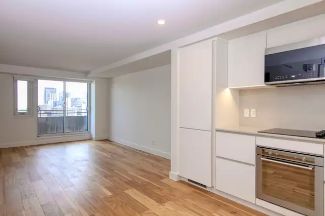 Renovated one bedroom apartment near McGill campus - ID 4713