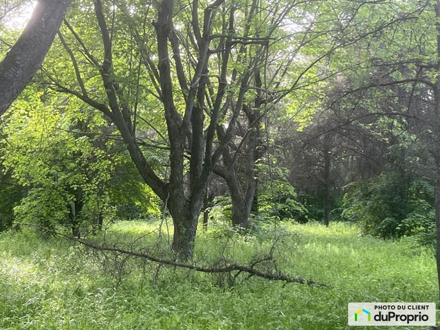 $284,000 - Residential Lot for sale in St-Michel — photo 2