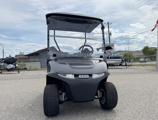 2025 EZGO Freedom RXV Elite LITHIUM-golf cart in ATVs in Vernon - Image 9