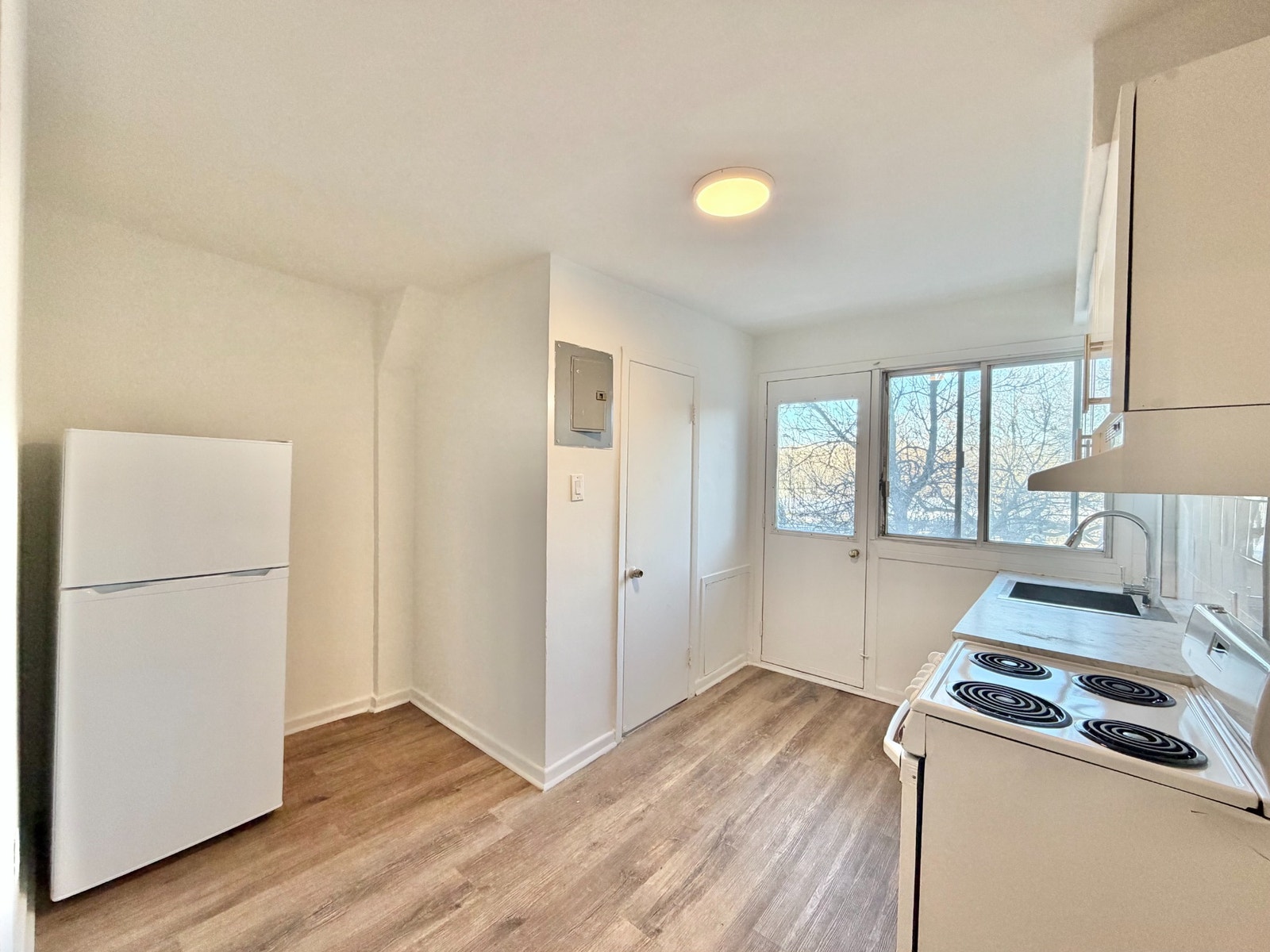 8498 St-André — photo 3