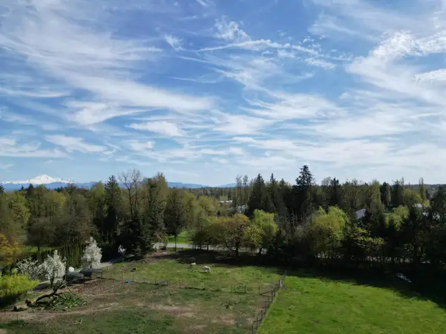 28927 BUCHANAN AVENUE Abbotsford, British Columbia in Land for Sale in Abbotsford - Image 6
