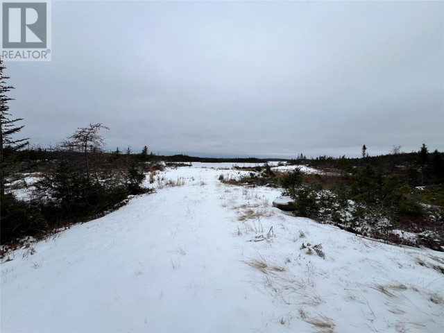 3 Gull Pond Road New Harbour, Newfoundland & Labrador in Houses for Sale in Gander - Image 4