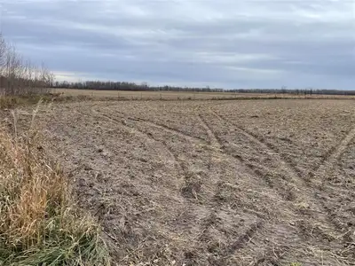 R39//St Claude/A full Quarter available, +/- 94 acres cultivated, +/- 66 acres bush. Located just No...