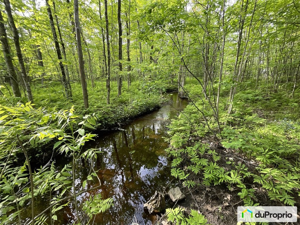 $690,000 - Bungalow for sale in Ste-Sophie — photo 3