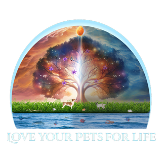 Fur Sitting and Walking Services, View more