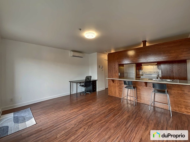 $259,000 - Condominium for sale in South-West Montreal — photo 1