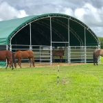 NEW HORSE & ANIMAL LIVESTOCK SHELTER STORAGE BUILDING in Accessories in Lloydminster - Image 2