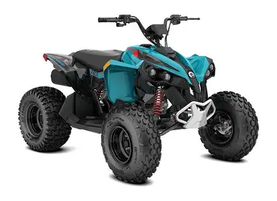 Bienvenue chez Adrenaline Sports Clermont ! 2026 CAN-AM Renegade 110 EFI CAN-AM Renegade 110 EFI 202...