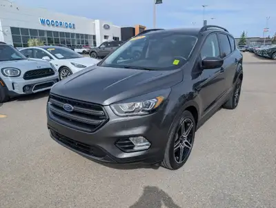 Welcome to Woodridge Ford. Power Liftgate, Park Assist, Heated Seats, Aluminum Wheels, Android Auto!...