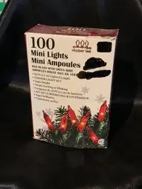 100 mini lights for Christmas 