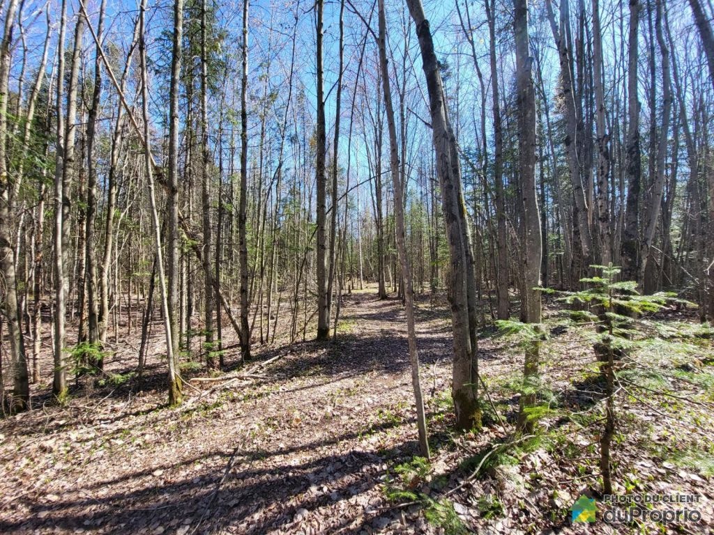 $425,000 - Arable Land for sale in Sherbrooke (St-Élie-d'Orford) — photo 2