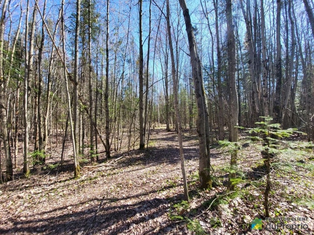 $425,000 - Arable Land for sale in Sherbrooke (St-Élie-d'Orford) — photo 2