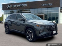 Seamlessly blend eco-consciousness with sophisticated design in this 2023 Hyundai Tucson Hybrid Luxu... (image 6)