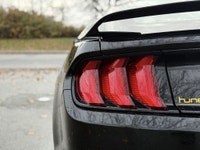 2018 Ford Mustang ECOBOOST FASTBACK | LOW KMS | ALL BLACK Fresh Trade | Rare Find ️Clean Title Low K... (image 9)