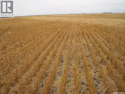 Excellent quarter of farmland northeast of Birch Hills. Class B soil. Assessment 471,700. 135 cultiv...