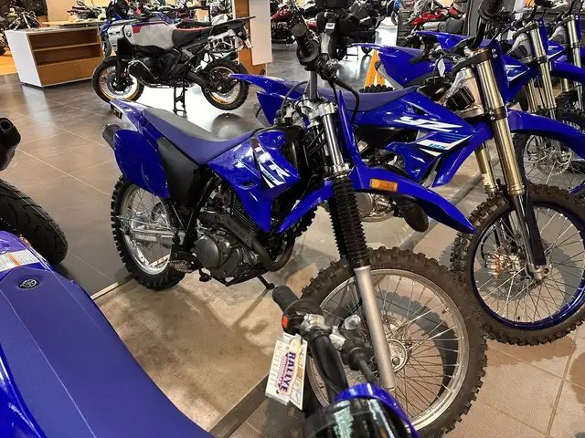 2025 Yamaha TT-R 230 in Dirt Bikes & Motocross in Moncton - Image 2