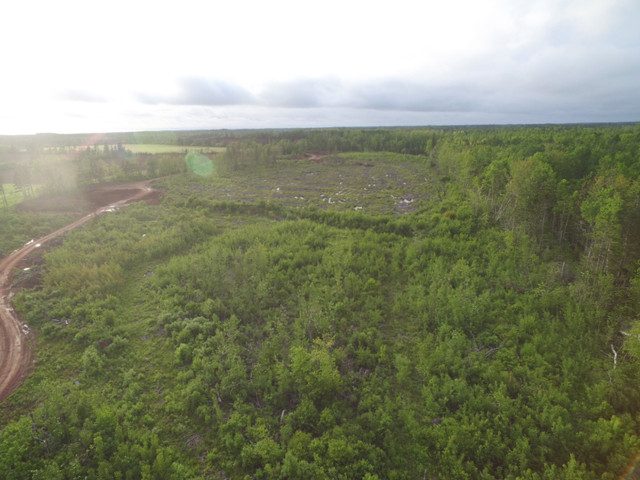 15 Acres of land in Alberton Western PEI. in Land for Sale in Summerside