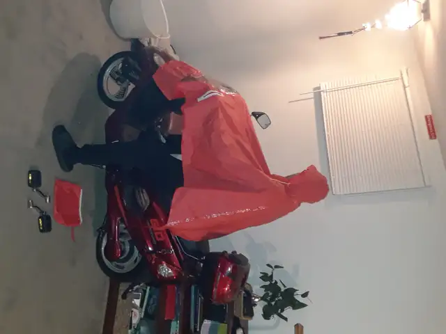 Gio Electric Scooter/eBike No Lisence Req Starts & Runs $750 OBO in Scooters & Pocket Bikes in Winnipeg - Image 4