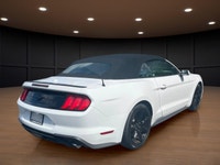 Price includes $1,000 finance credit. Price does not include fees or taxes. Experience unforgettable... (image 4)