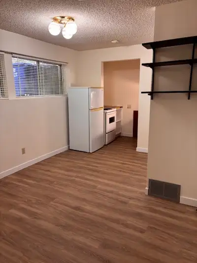 Newly renovated East College Park 1 bedroom basement suite