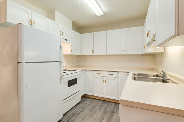 Affordable Apartments for Rent - Crowchild Court - Apartment for in Long Term Rentals in Edmonton - Image 3